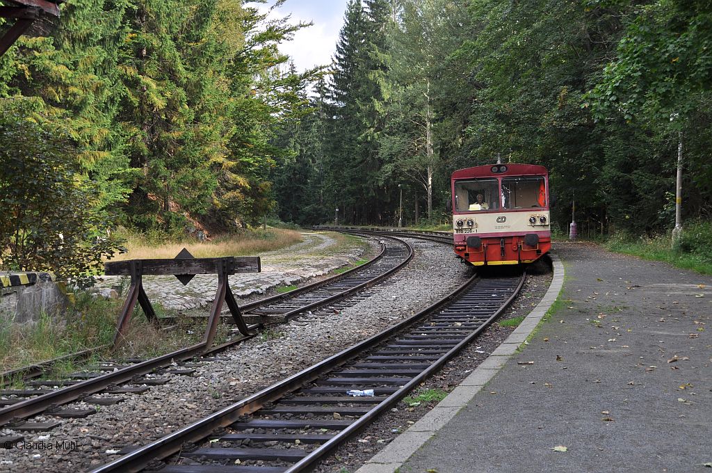 Externes Bild, es gelten die Datenschutz- und Nutzungsbestimmungen der ausgewählten Seite.