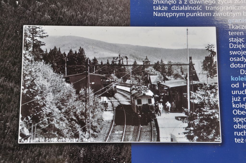 Externes Bild, es gelten die Datenschutz- und Nutzungsbestimmungen der ausgewählten Seite.